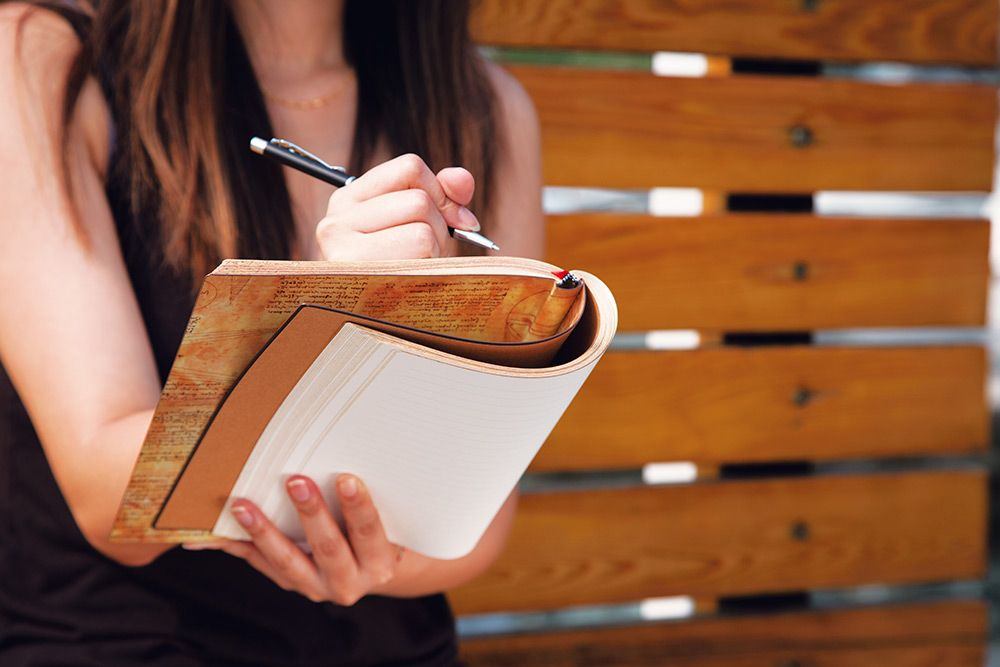 Flexis 月光と陽光 - ダ・ヴィンチ（レスター手稿） | Paperblanks